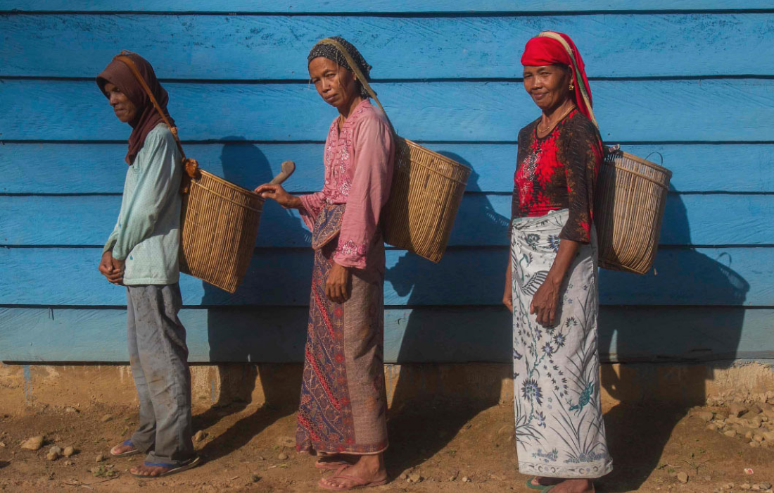 The Landscape for Impact Investing in South Asia: a new report by Dalberg and the GIIN