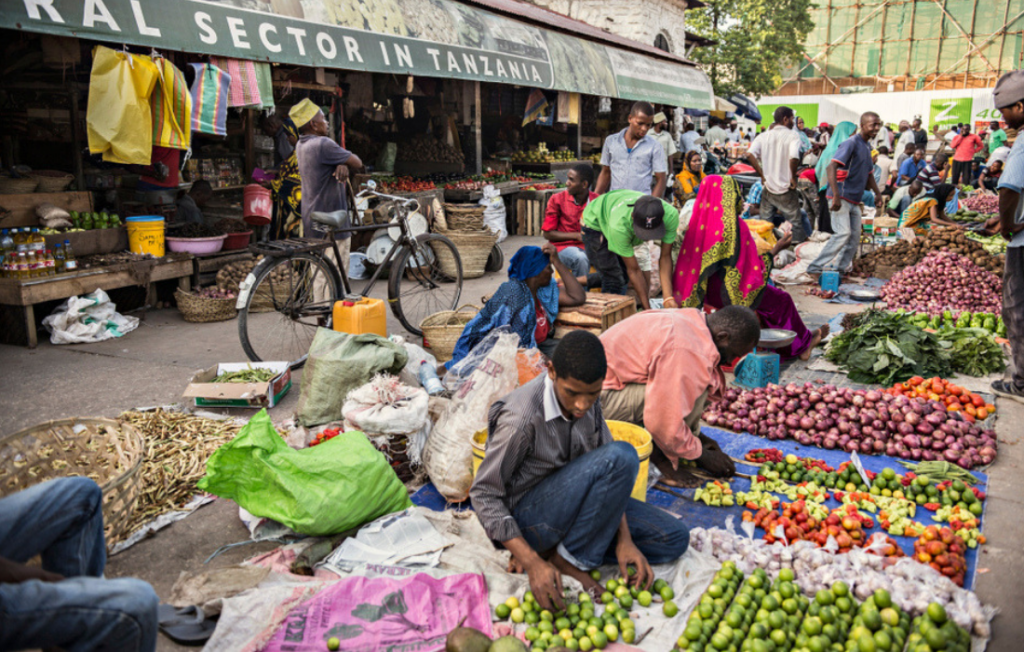 USAID’s Investment Support Program (implemented by Dalberg Advisors) creates Primer on Catalyzing Agricultural Finance