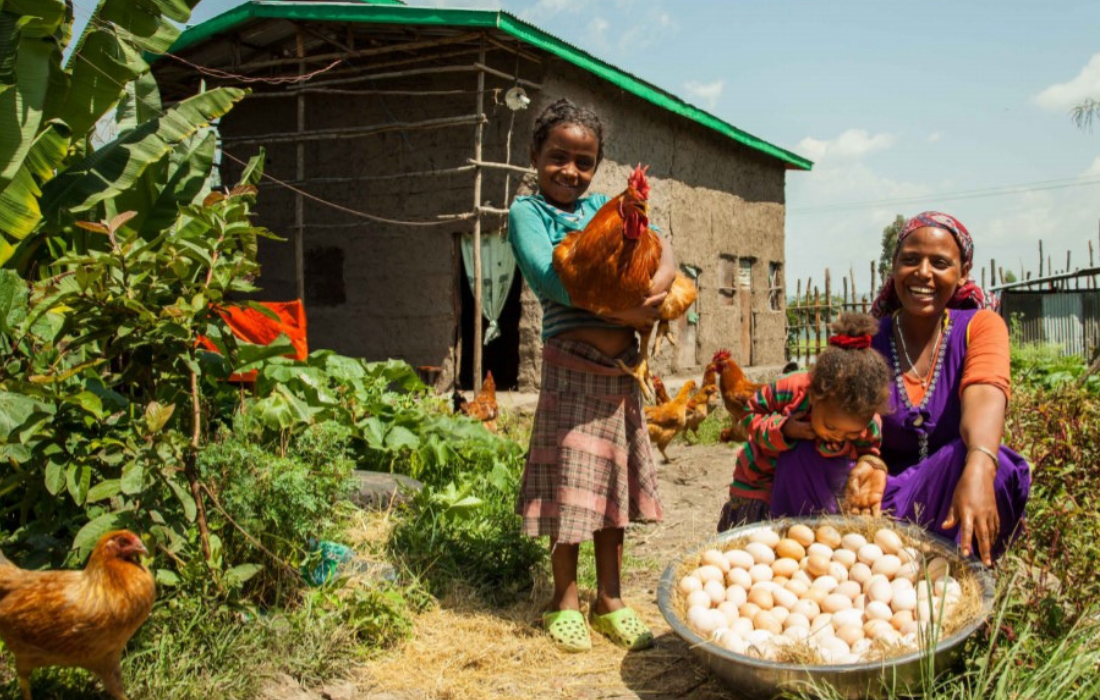 Smallholders on the world stage: how private investment can help secure our food future