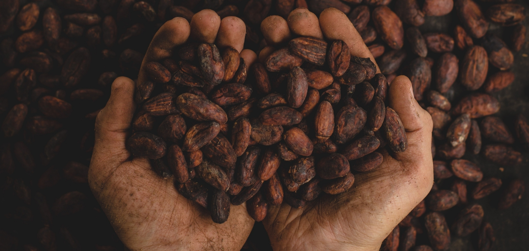 IFC – Agriculture value chain investment opportunity scan