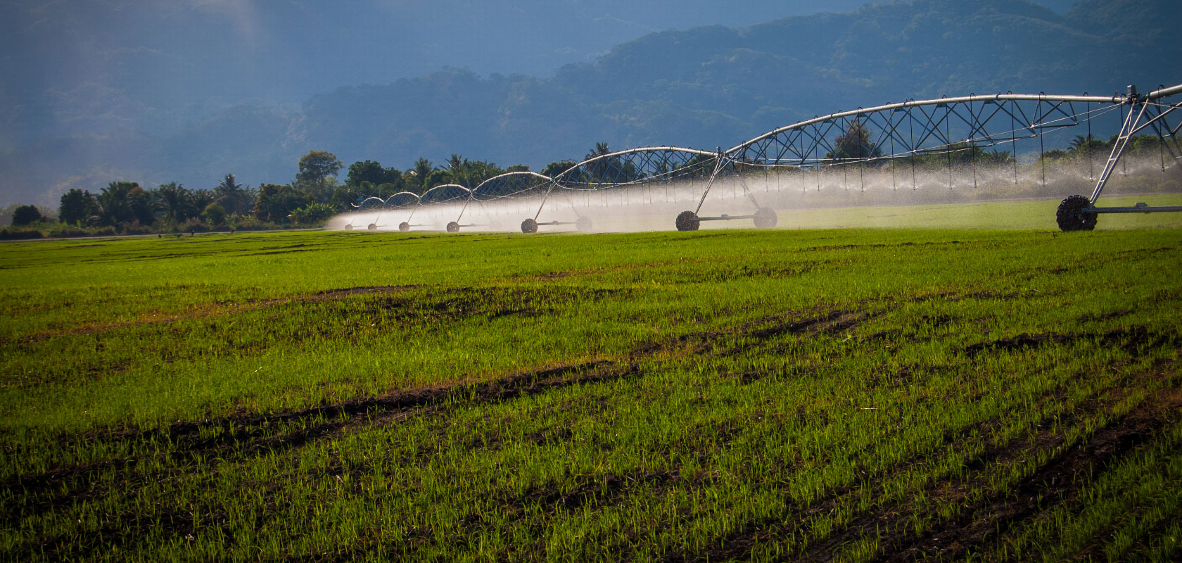 Transforming public sector agriculture interventions in Tanzania