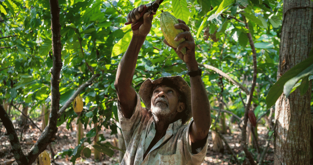 Direct to Farmer Finance Innovation Playbook