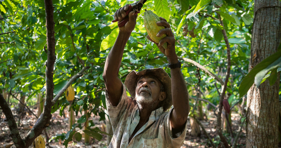 Direct to Farmer Finance Innovation Playbook