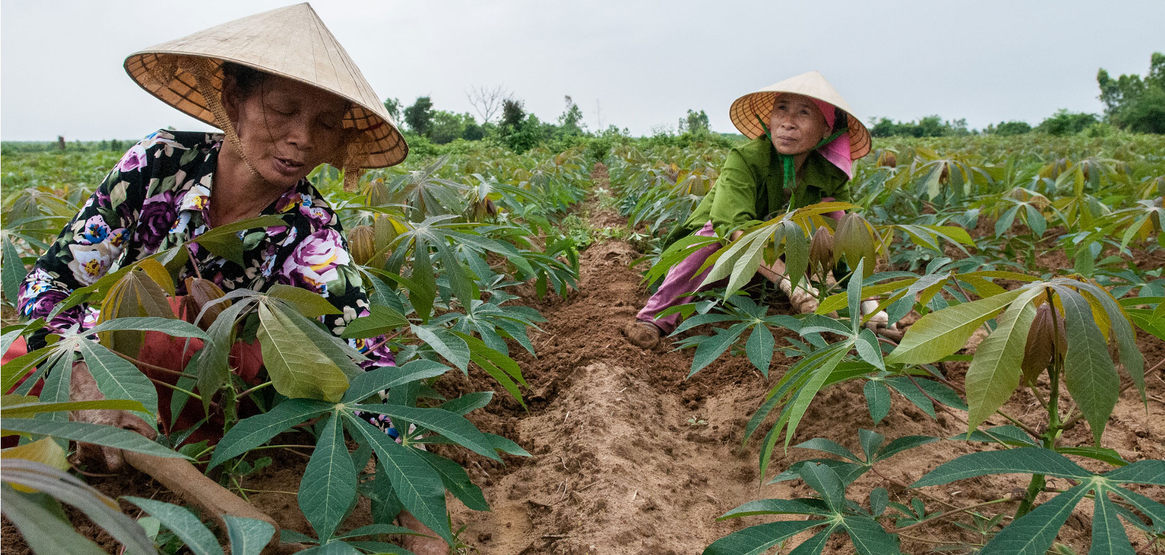 Integrating gender into an agricultural portfolio