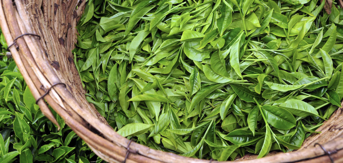 Food loss and waste in Africa