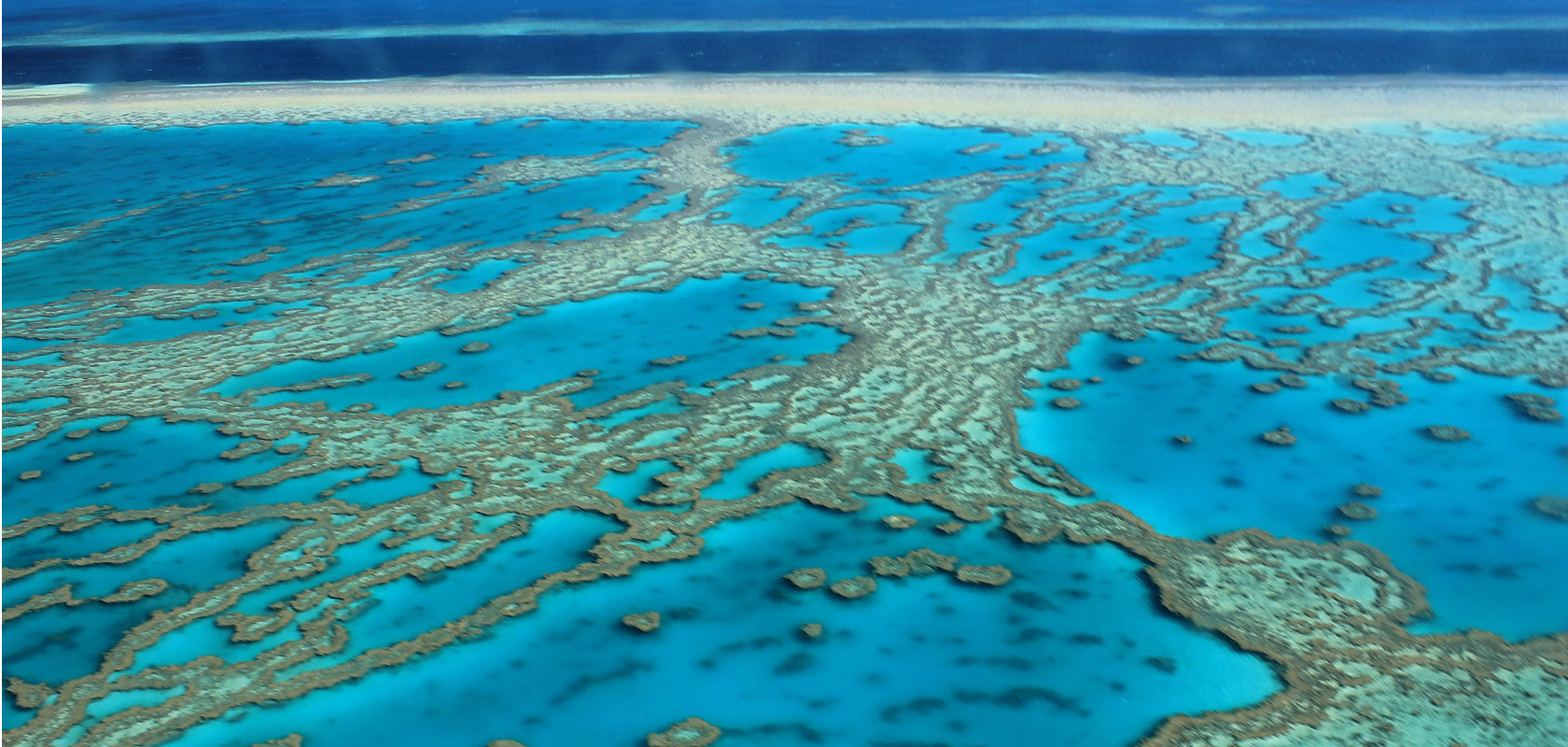 Protecting the great barrier reef