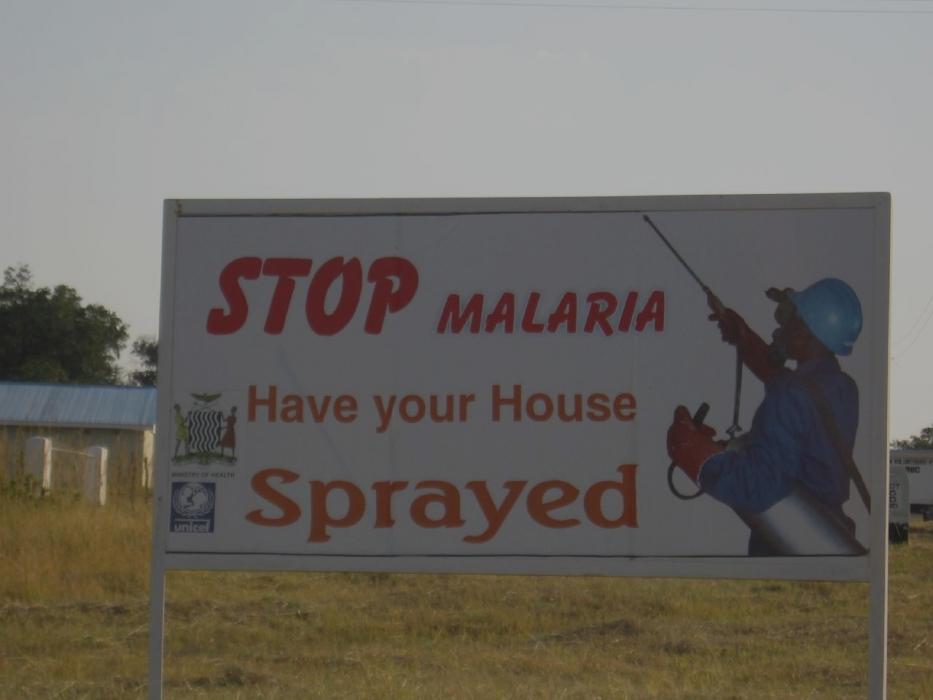 Dalberg Data Insights Protects Malaria-Free Zones in Zambia
