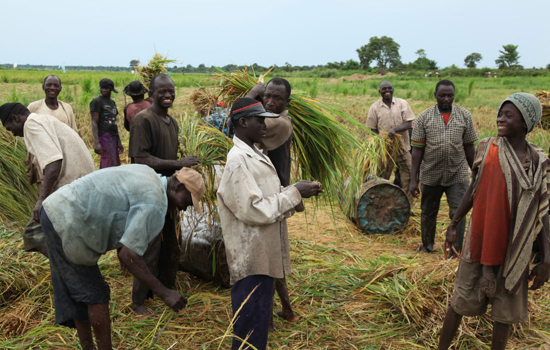 Strategic framework and implementation plan for job creation and youth employment in Nigeria