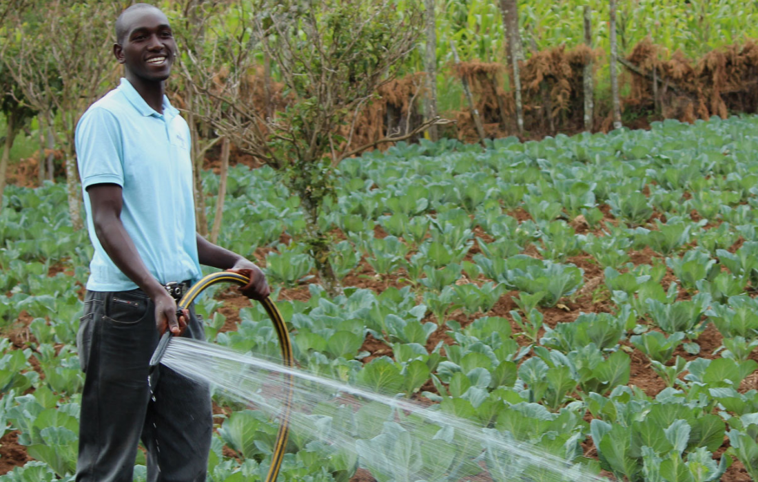 Interviewing 2,800 farmers to evaluate Plantwise Clinics