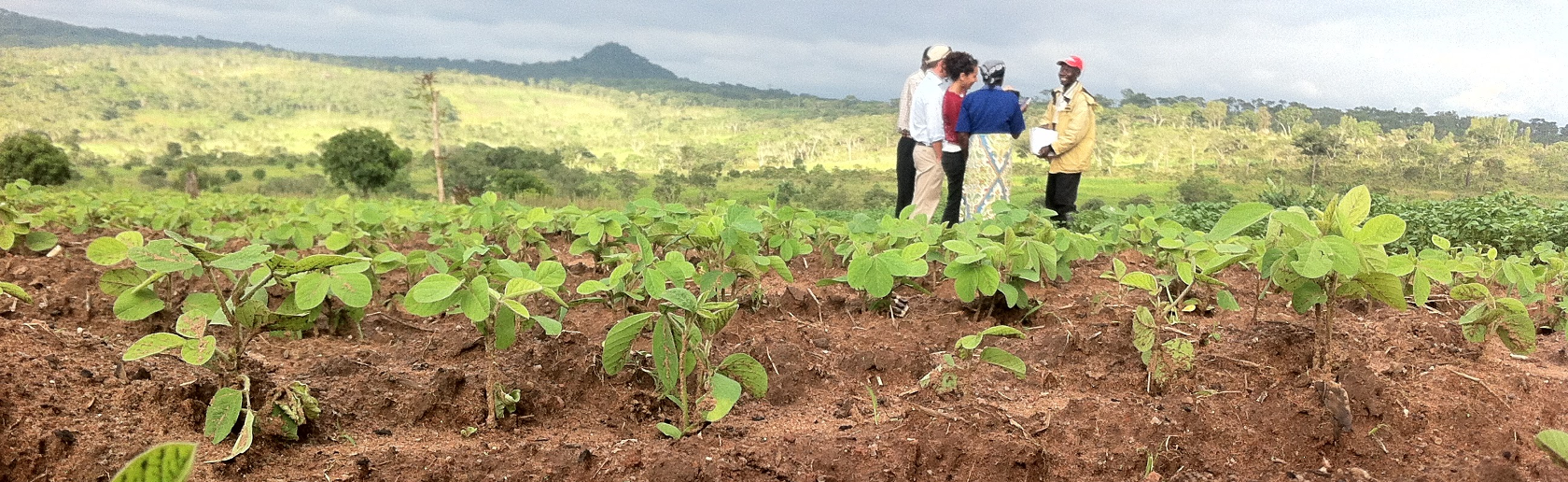 Designing a $24 billion agricultural transformation strategy