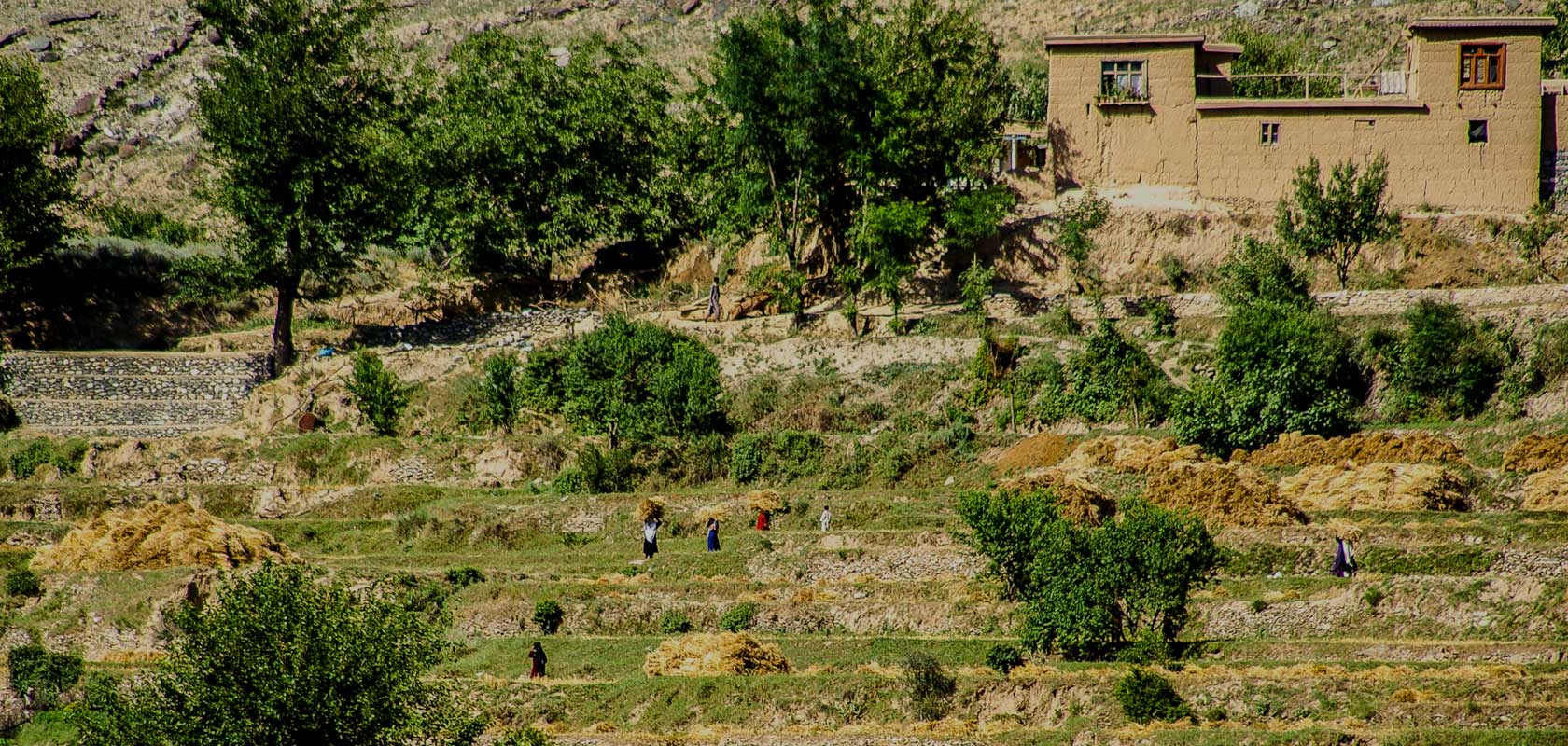 Spurring employment and development in Afghanistan