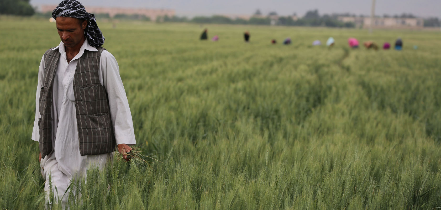 Assessing an agricultural investment strategy