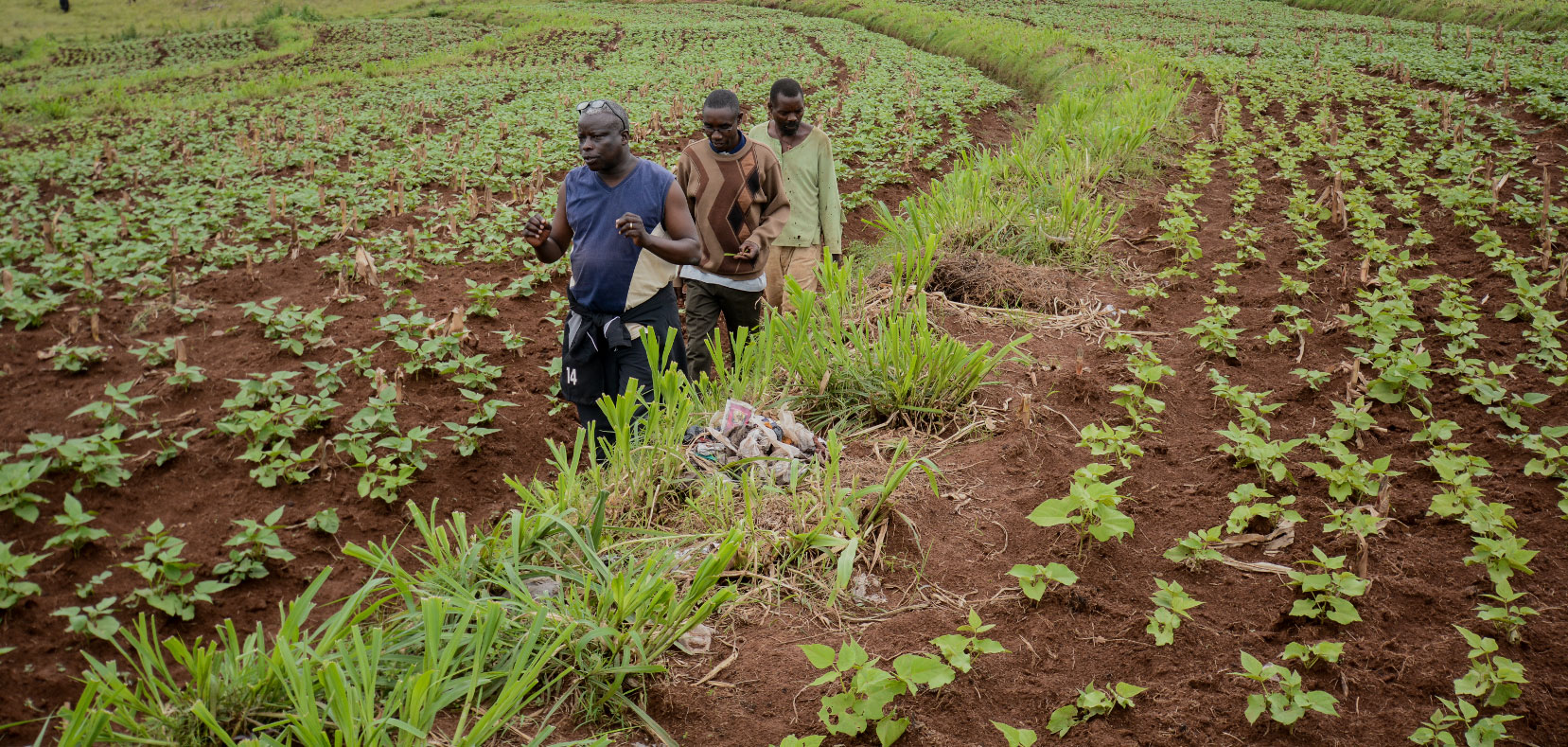 Conducting the World Bank’s global value chain survey