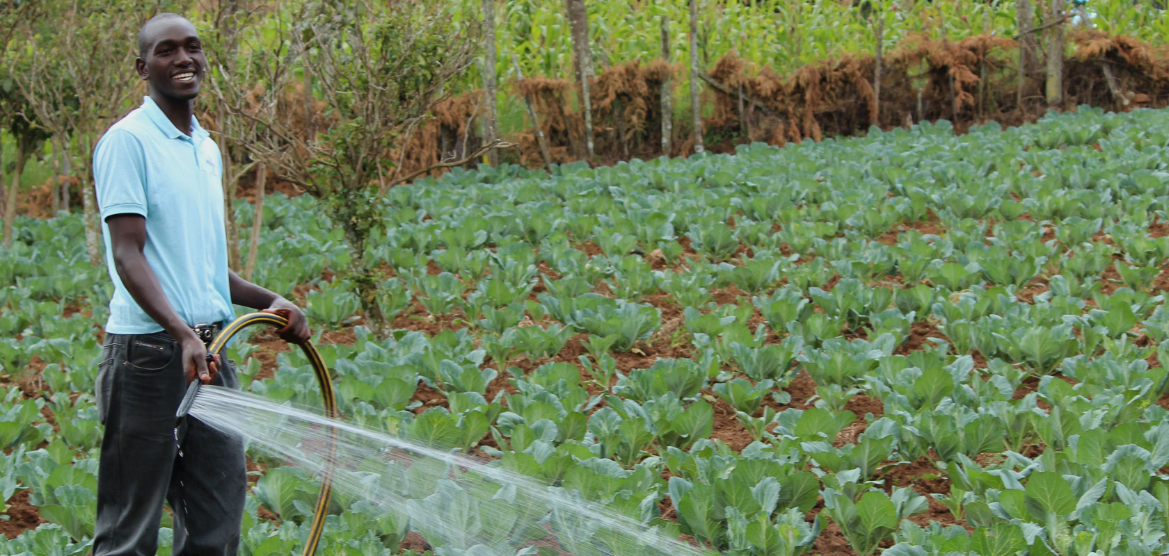 Identifying innovative business models for direct-to-farmer financing