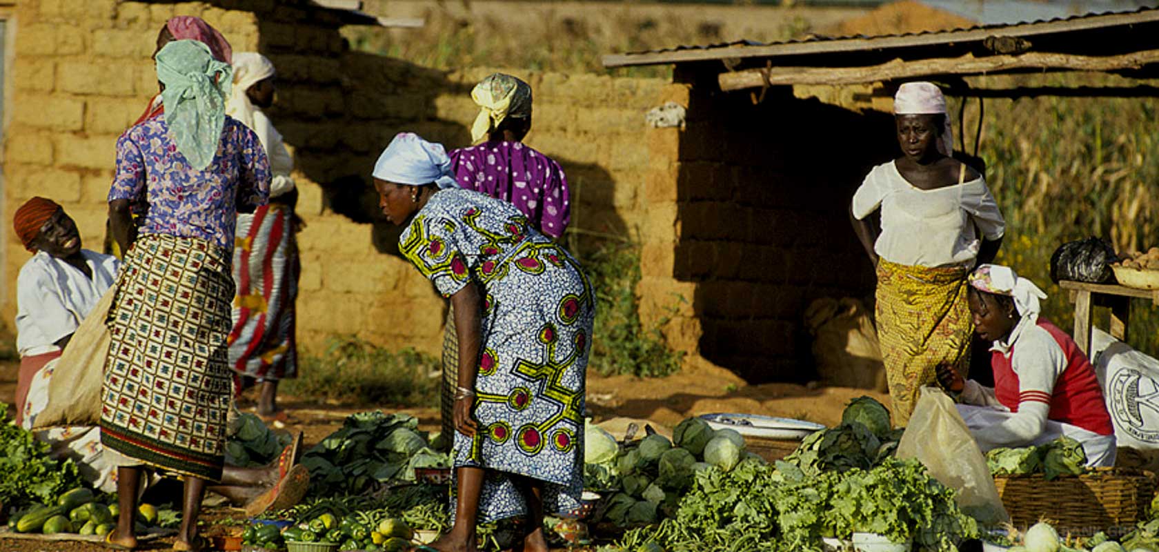 Assessing the effect of policy on financial inclusion in Nigeria