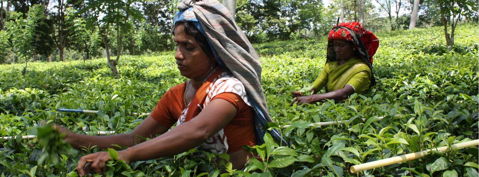 Structuring a small and medium-size enterprise venture capital fund