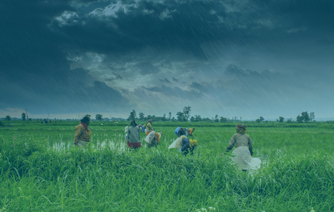 The Power of the Collective: Dalberg & the Launch of India’s Climate Collaborative