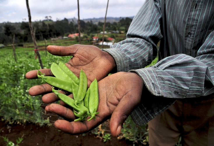Engager la transformation du secteur agricole et assurer la sécurité alimentaire