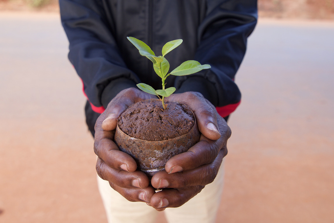 Land Restoration that Works: How to Rejuvenate the Environment while Stimulating Economic Growth