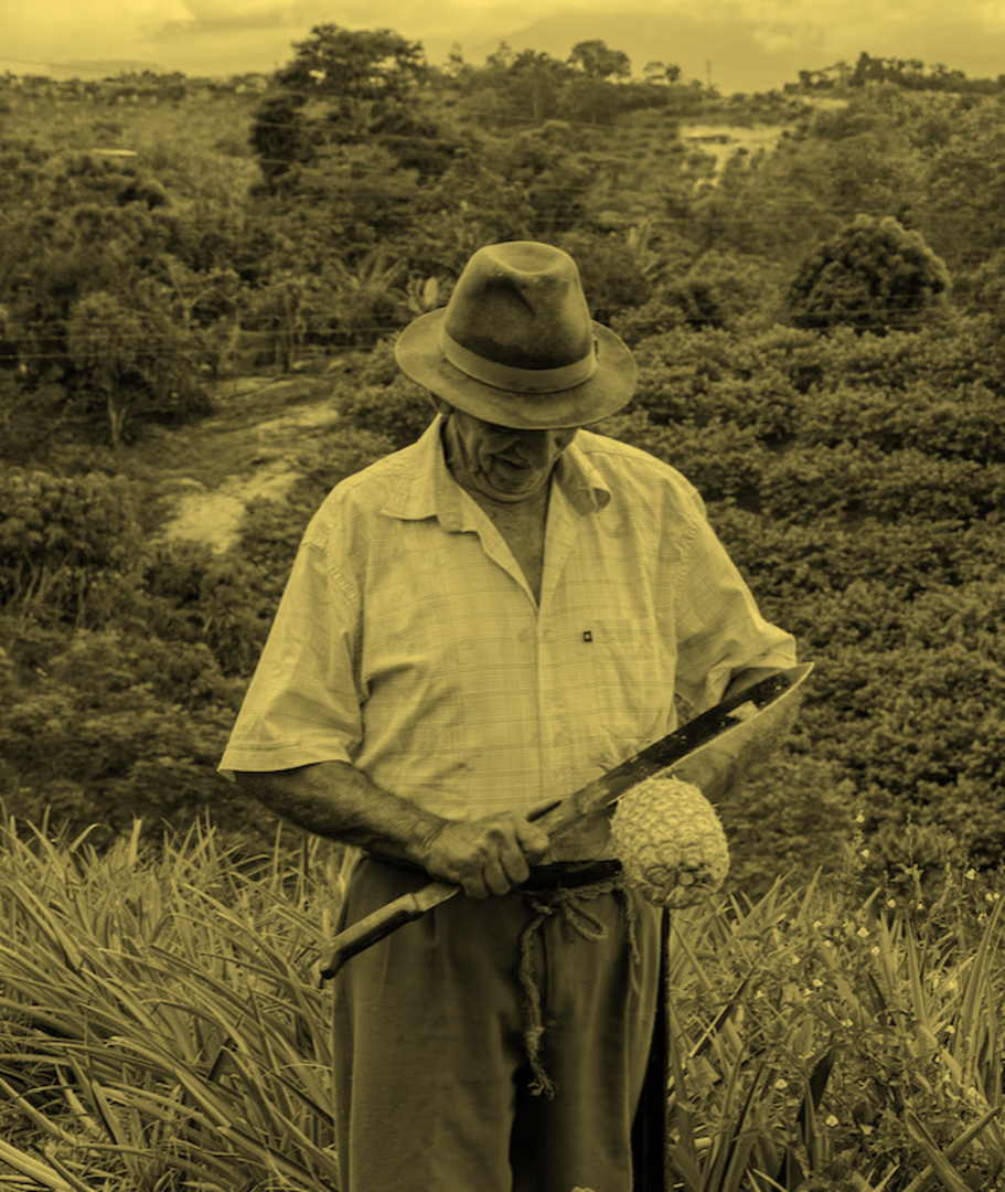 Cultivating change: How can sustainable AgTech empower smallholder farmers in Latin America?