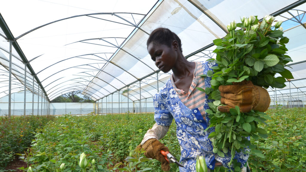 Collaborative Strategies for Transforming Agriculture and Food Systems