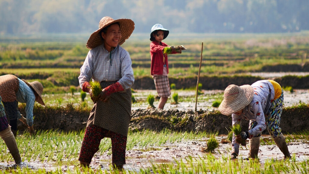 Turning Intent into Impact: How Gender Toolkits Empower Investors, Donors, and Businesses 