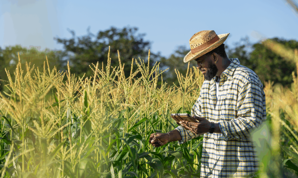 Exploring How Digital Public Goods Can Unlock Stronger Climate Action